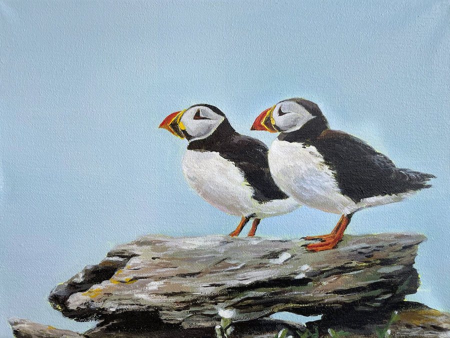 Two puffins on a rock