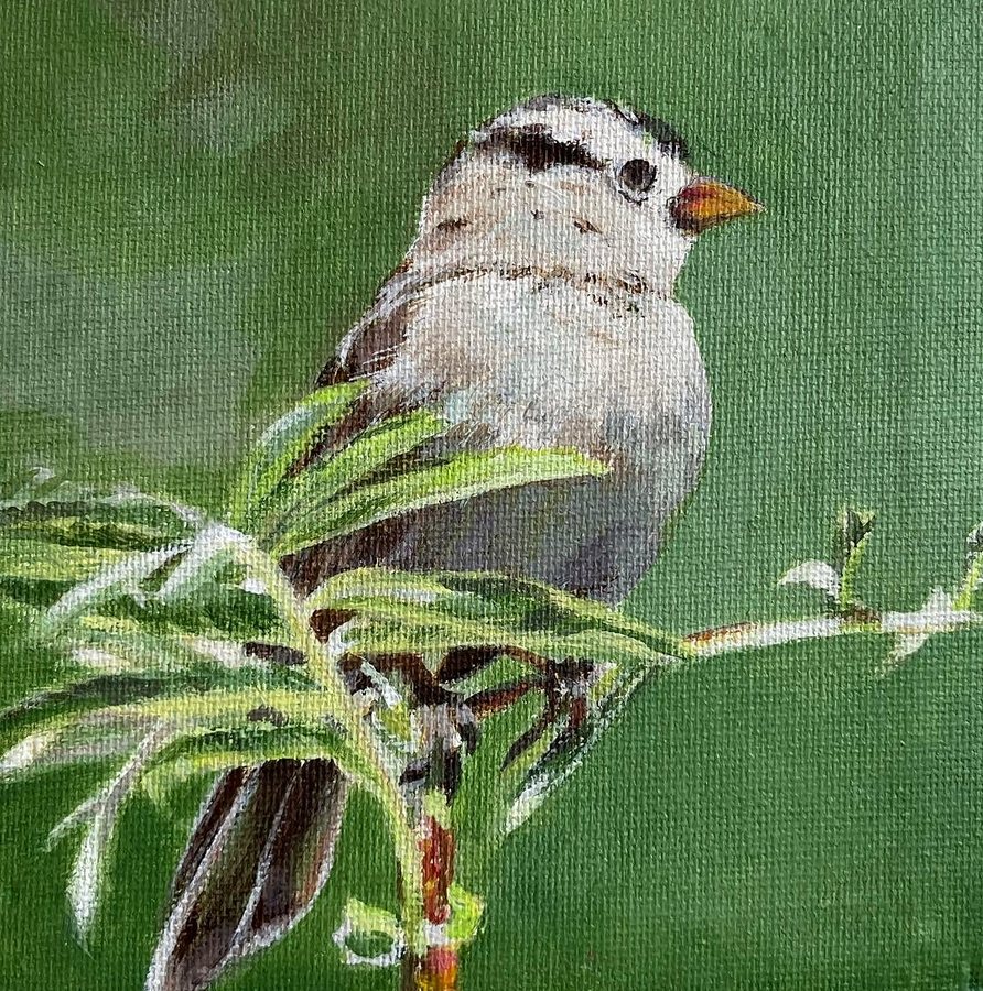 A small sparrow on a branch against green