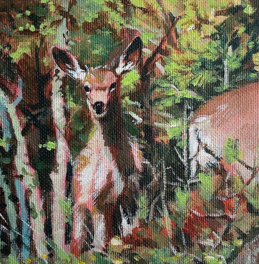 A deer peeking out from a forest