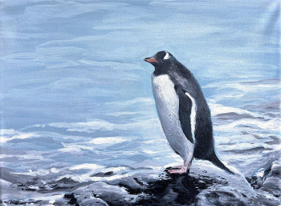 A penguin standing on rocks by icy water