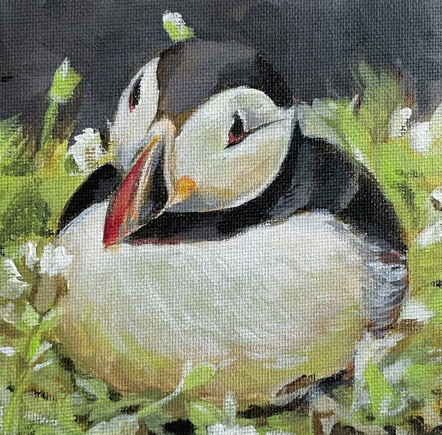 A puffin nestled in green grass